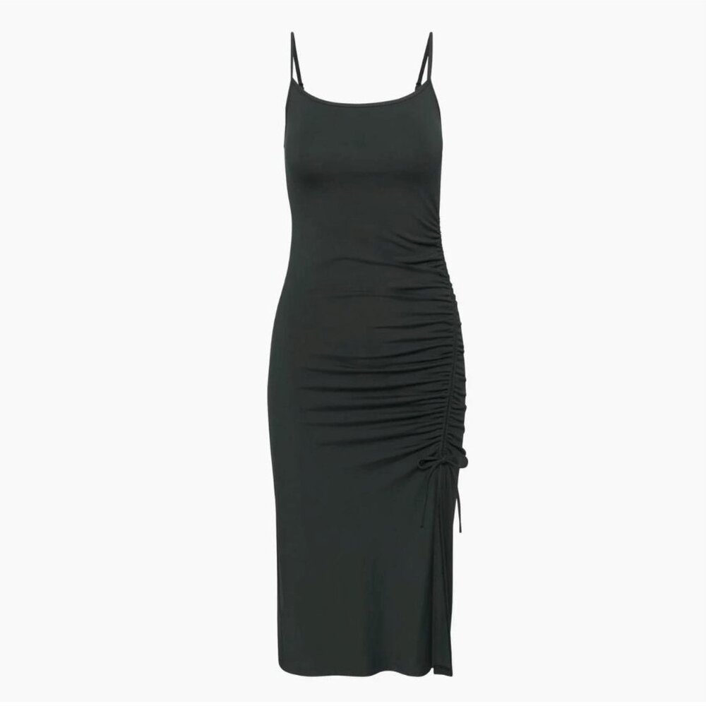 Aritzia Wilfred Riddle Dress